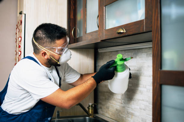 Best Pest Control for Businesses  in Sun Prairie, MT