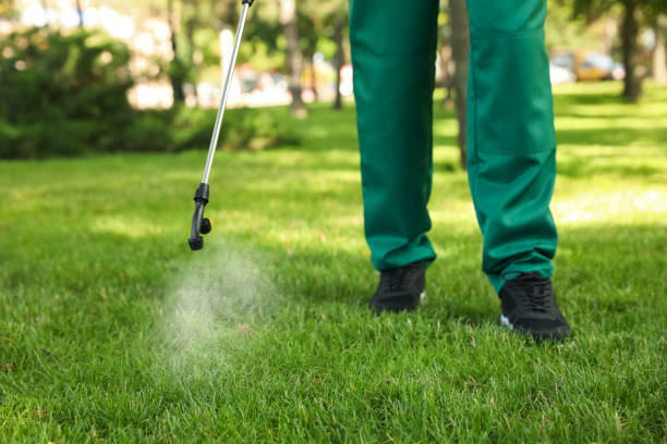 Best Best Pest Control Companies  in Sun Prairie, MT