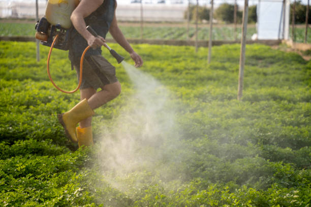 Insect Control in Sun Prairie, MT