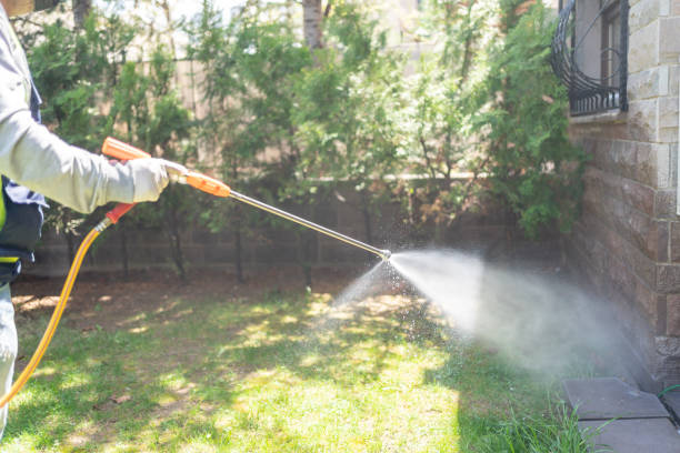 Best Pest Removal Services  in Sun Prairie, MT