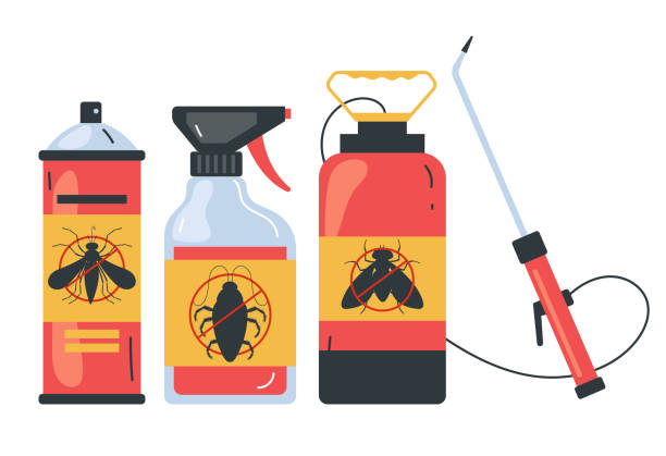 Best Flea Control Services  in Sun Prairie, MT
