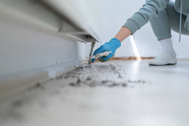 Best Best Pest Control Near Me  in Sun Prairie, MT